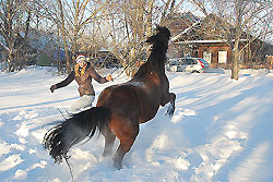 занятия на лошади